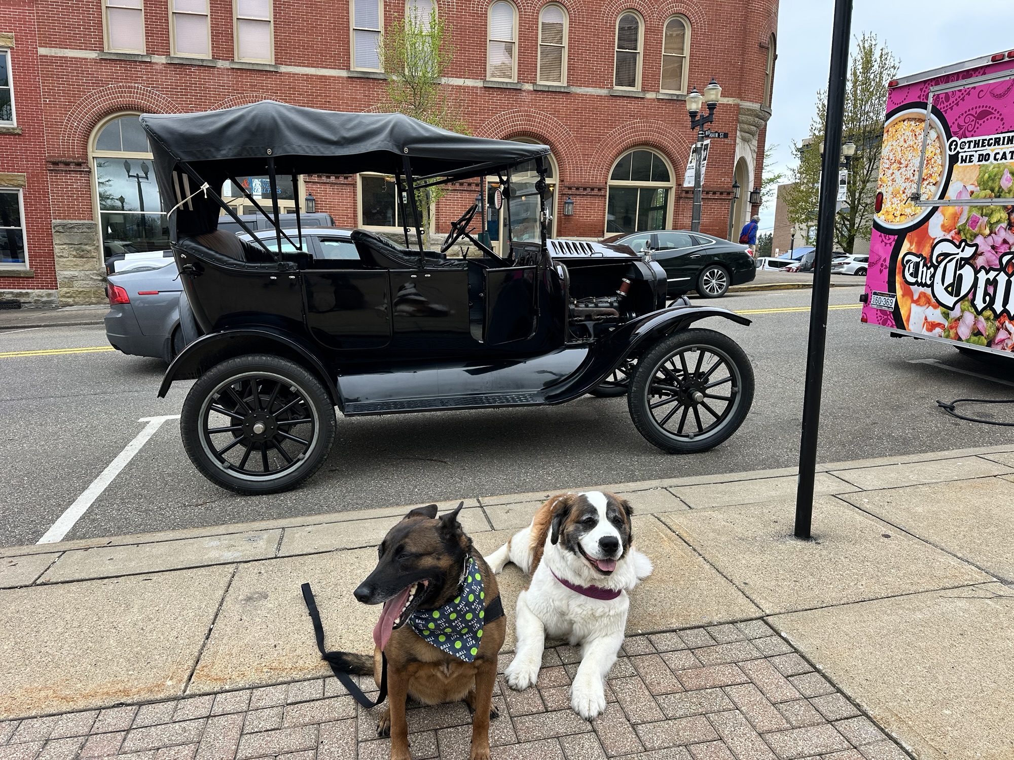 Belmont County in a Day: Dogs, Detours, and Old Friends!